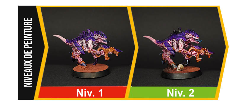 Comparaison Tyranide niveau 2 et niveau 3